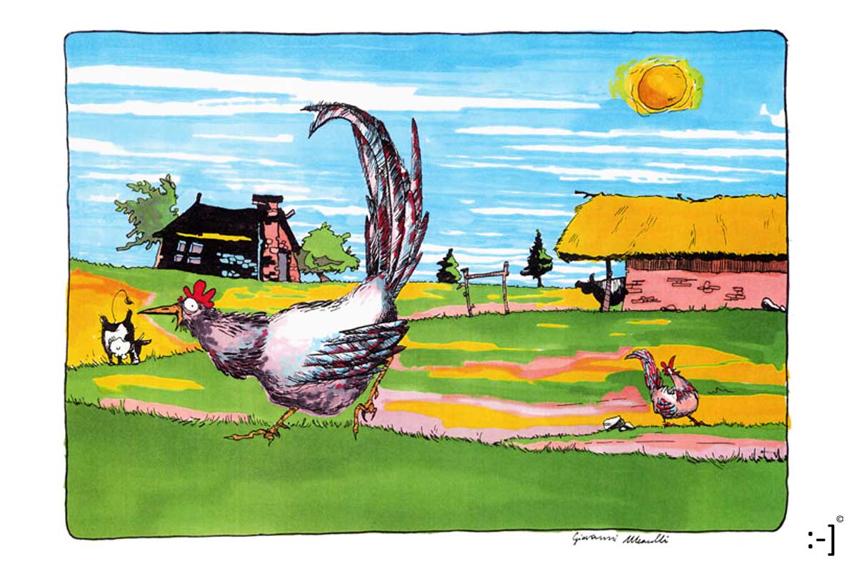 Gallo